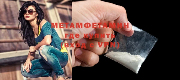 прущие грибы Магадан