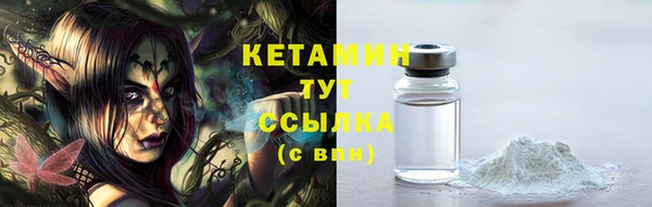 прущие грибы Магадан