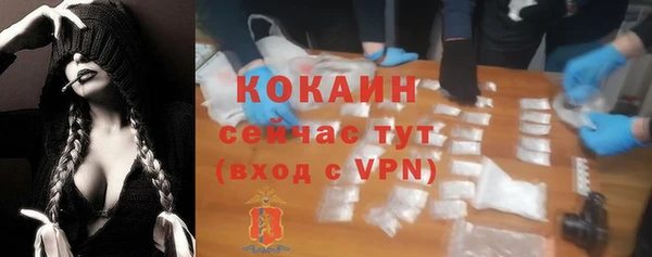 прущие грибы Магадан