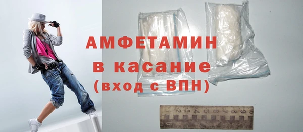 прущие грибы Магадан