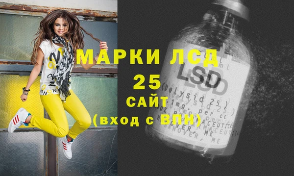 прущие грибы Магадан