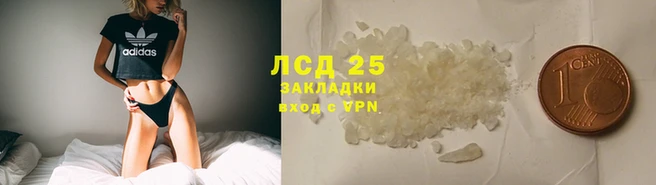 прущие грибы Магадан