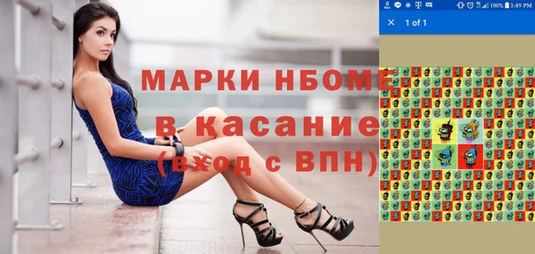 прущие грибы Магадан