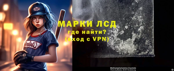 прущие грибы Магадан