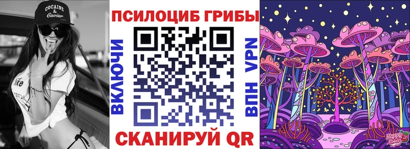 Купить где  Шуя  Галлюциногенные грибы прущие грибы 